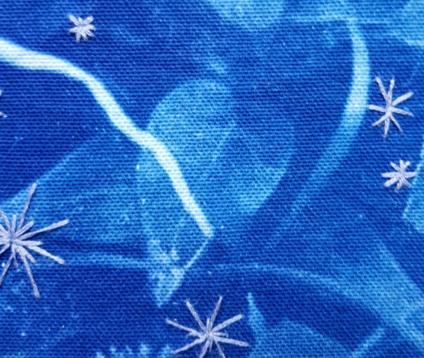 photographie, cyanotype, broderie, nature
