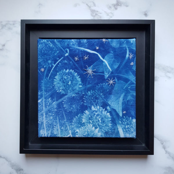 photographie, cyanotype, broderie, nature