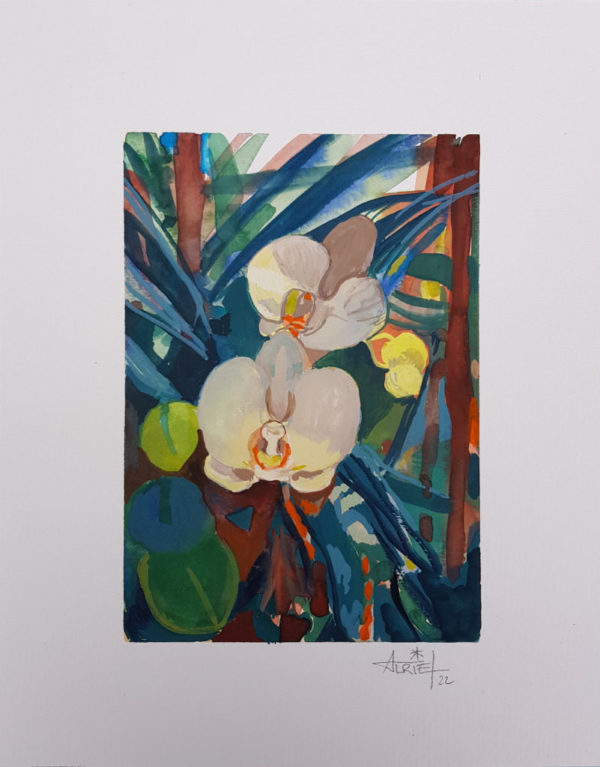 orchidée, gouache, oeuvre sur papier
