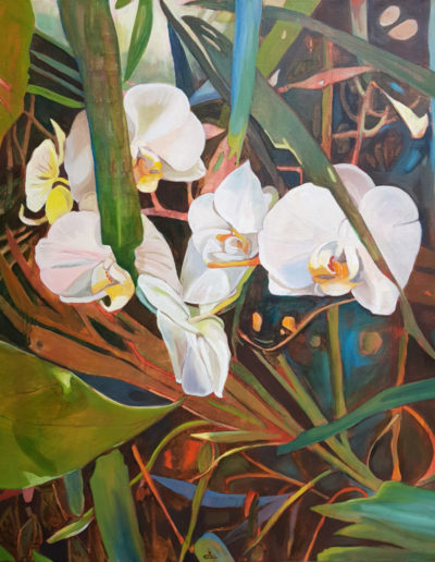 orchidées, peinture, serre