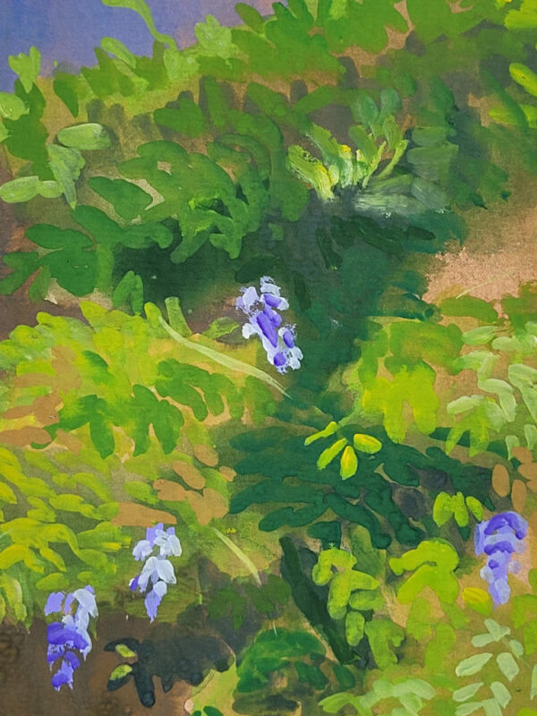 gouache, jardin, glycine