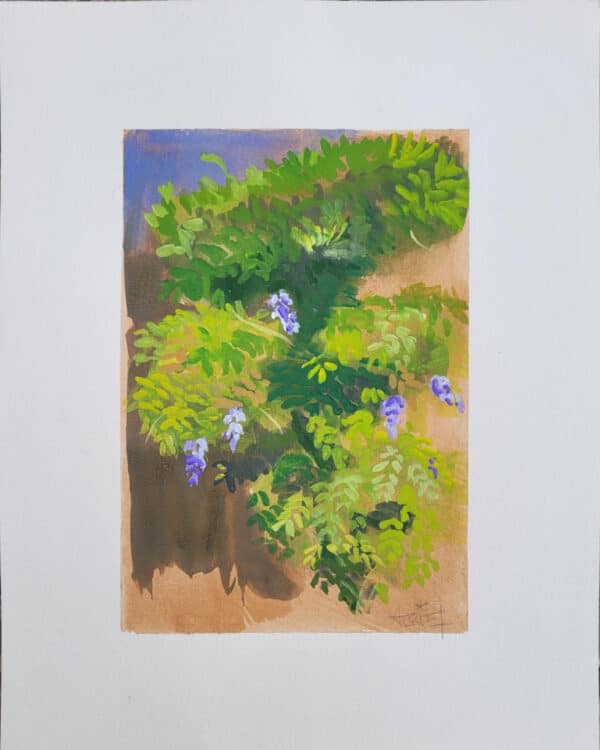 gouache, jardin, glycine