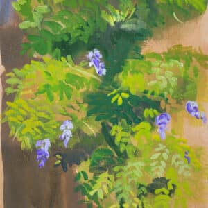 gouache, jardin, glycine