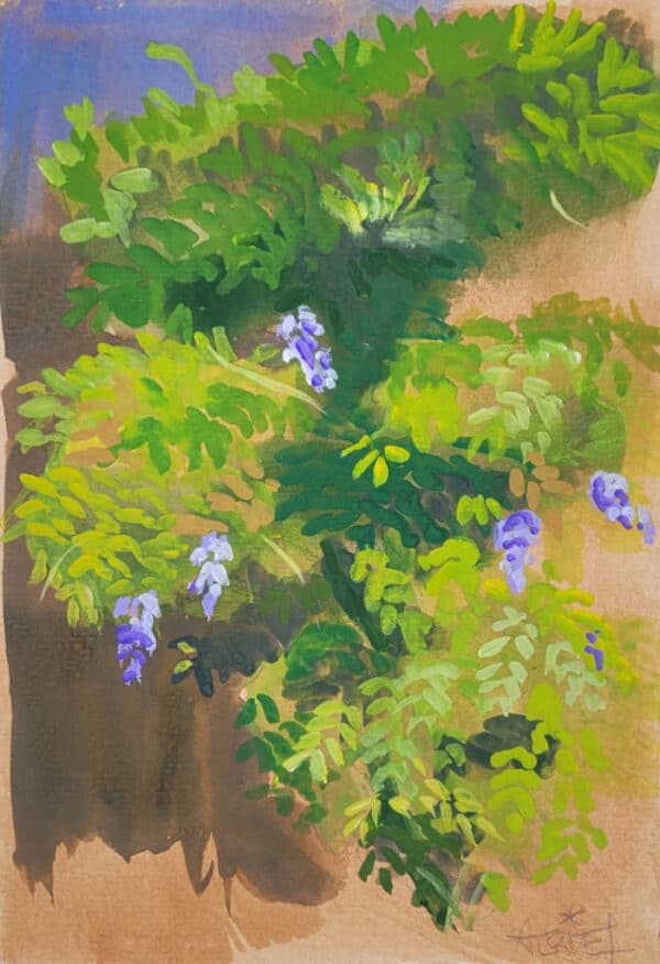 gouache, jardin, glycine