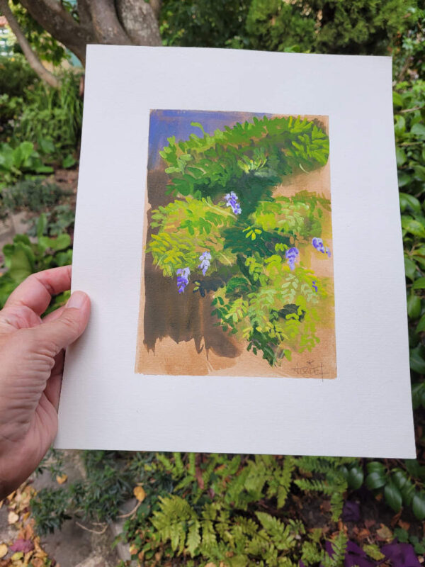 gouache, jardin, glycine