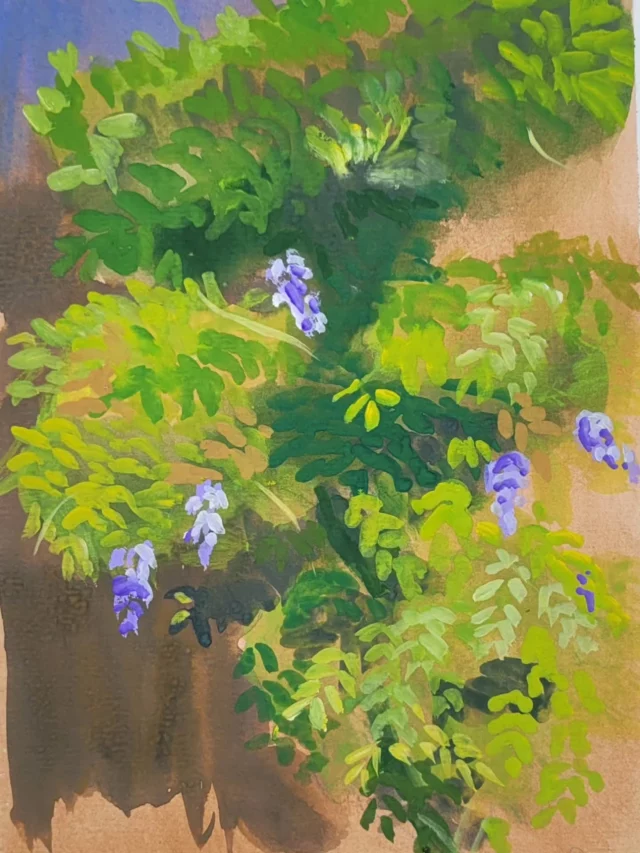 La glycine dans le jardin de Christine, une gouache réalisée sur le motif que j'aime beaucoup. 
Plus d'info sur mon site internet.